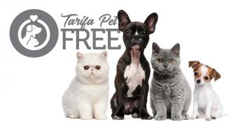 Pet Free: bichinho também tira férias na CHA Hotéis