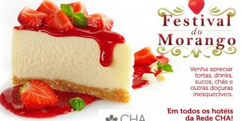 Festival de Morango