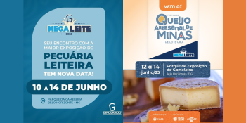Onde se Hospedar em BH para a Megaleite e Festival do Queijo 2025