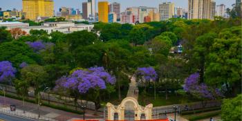 Curitiba, uma das 10 Melhores Cidades do Mundo para Visitar em 2025 – Encontre o Melhor Hotel Econômico no Centro da Cidade