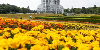 Curitiba: O Único Destino Brasileiro Entre os 30 Melhores Lugares para Visitar em 2025, Segundo a Lonely 