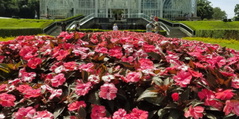 Os 6 melhores pontos turísticos de Curitiba! 