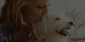 Férias na CHA hotéis, com tarifa PET free e crianças de até 10 anos com tarifa free