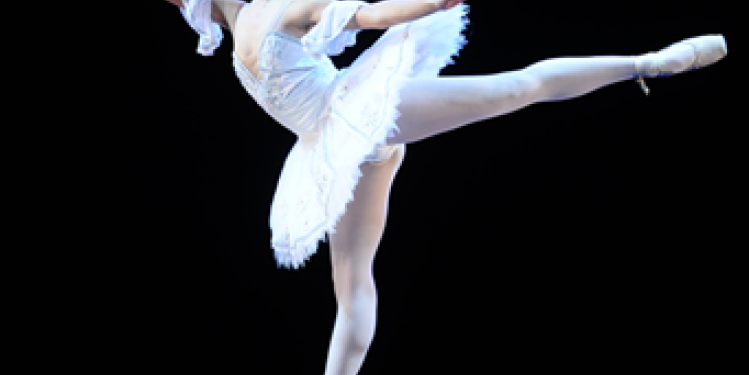 33º Festival de Dança Joinvillense