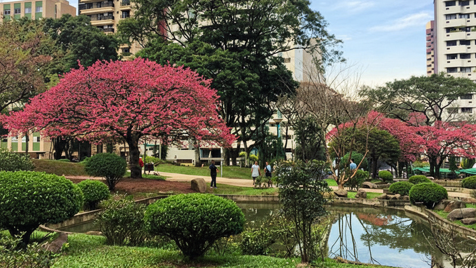 Praça do Japão: Um Refúgio Cultural no Bairro Água Verde, em Curitiba