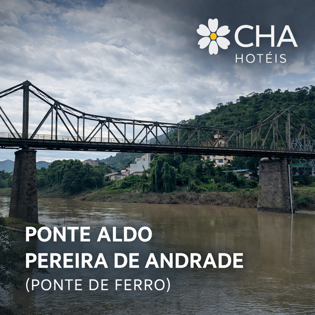 Ponte Aldo Pereira de Andrade (Ponte de Ferro) História, arquitetura e turismo em Blumenau